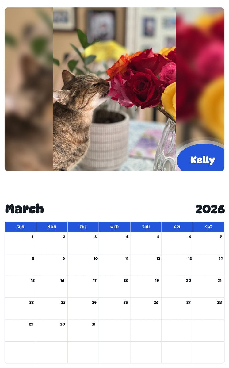 November 2025 - October 2026 Kelly - Pawidols Pet Calendar