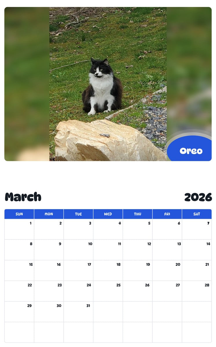 November 2025 - October 2026 Oreo - Pawidols Pet Calendar