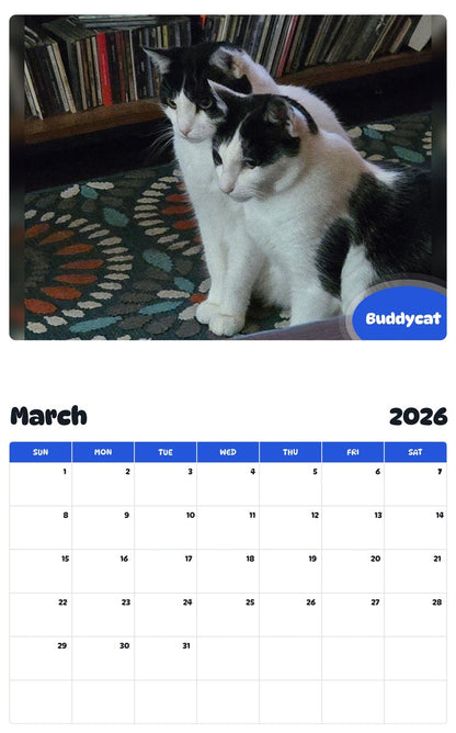 November 2025 - October 2026 Buddycat - Pawidols Pet Calendar