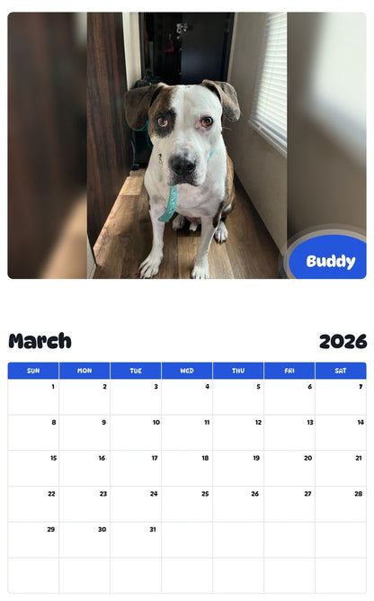 November 2025 - October 2026 Buddy - Pawidols Pet Calendar