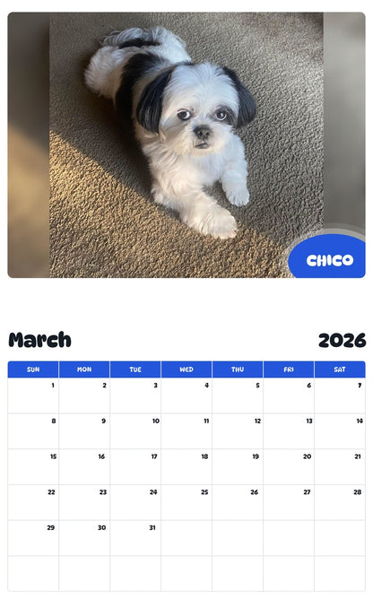 November 2025 - October 2026 CHICO - Pawidols Pet Calendar