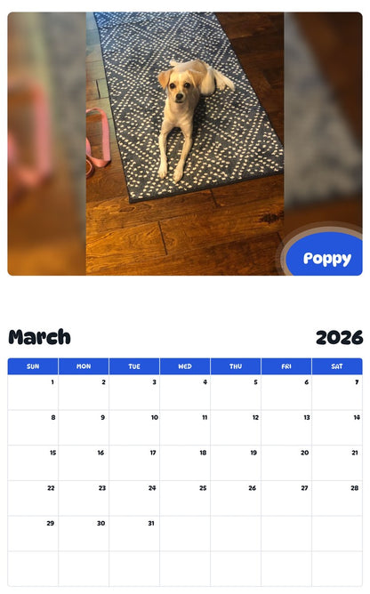 November 2025 - October 2026 Poppy - Pawidols Pet Calendar