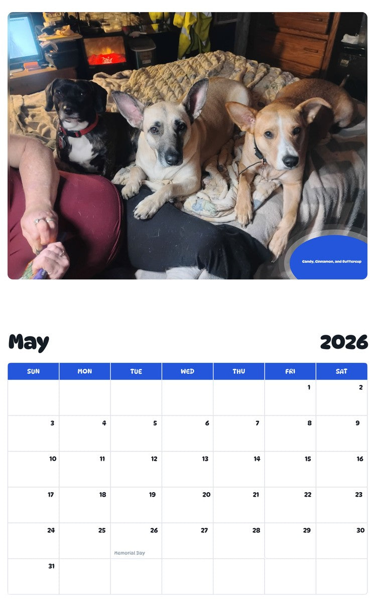 2026 - 2027 Candy, Cinnamon, and Buttercup - Pawidols Pet Calendar