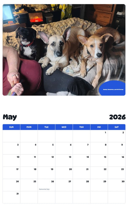 2026 - 2027 Candy, Cinnamon, and Buttercup - Pawidols Pet Calendar