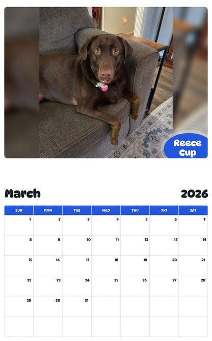 November 2025 - October 2026 Reece Cup - Pawidols Pet Calendar