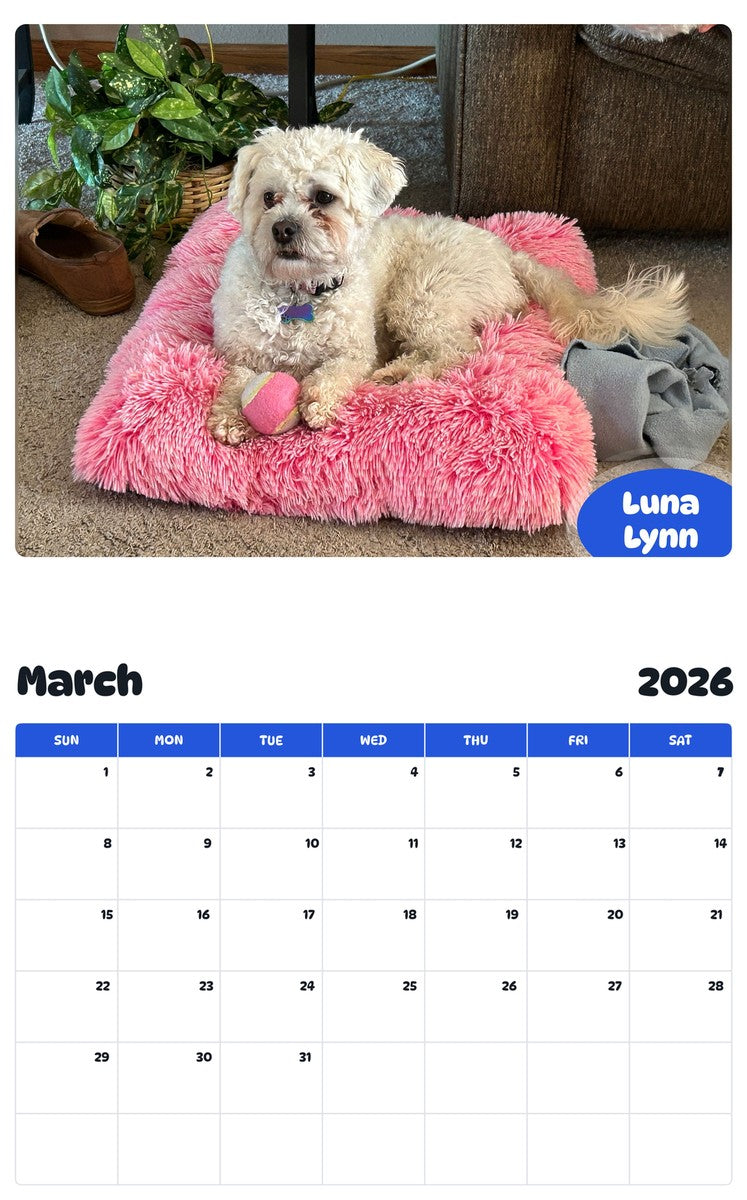 November 2025 - October 2026 Luna Lynn - Pawidols Pet Calendar
