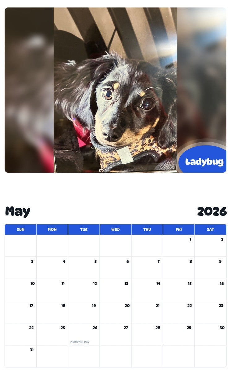 2026 - 2027 Ladybug - Pawidols Pet Calendar