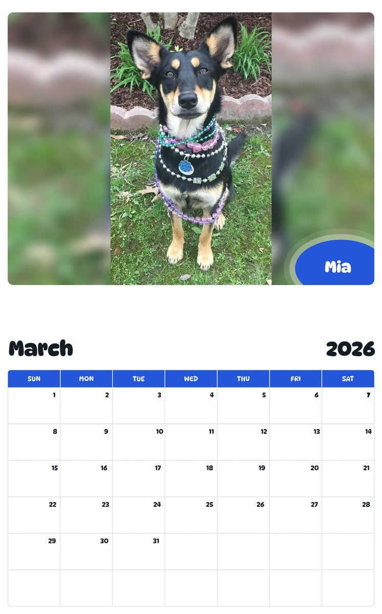 November 2025 - October 2026 Mia - Pawidols Pet Calendar