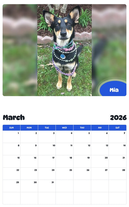 November 2025 - October 2026 Mia - Pawidols Pet Calendar