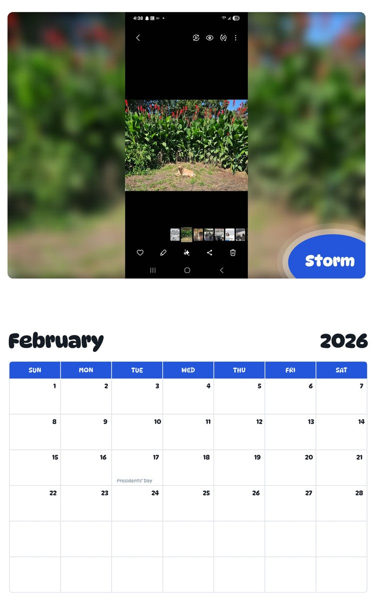 October 2025 - September 2026 Storm - Pawidols Pet Calendar