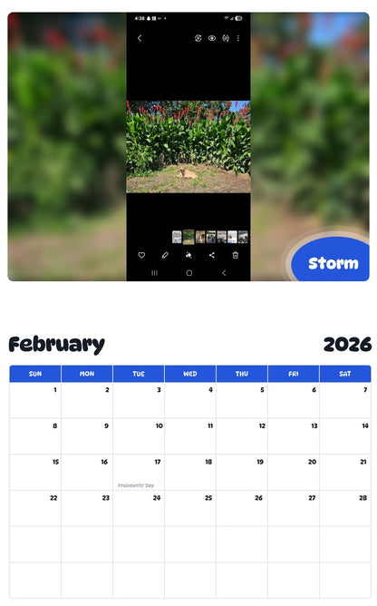 October 2025 - September 2026 Storm - Pawidols Pet Calendar