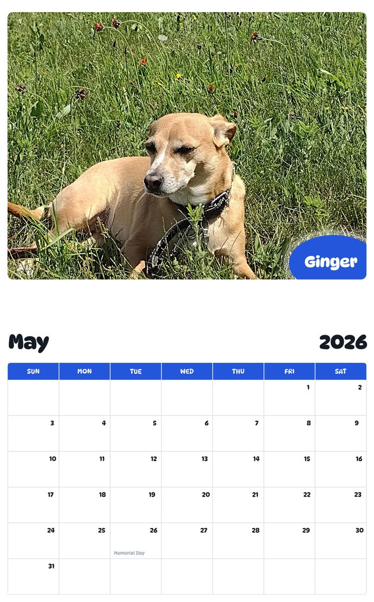 2026 - 2027 Ginger - Pawidols Pet Calendar