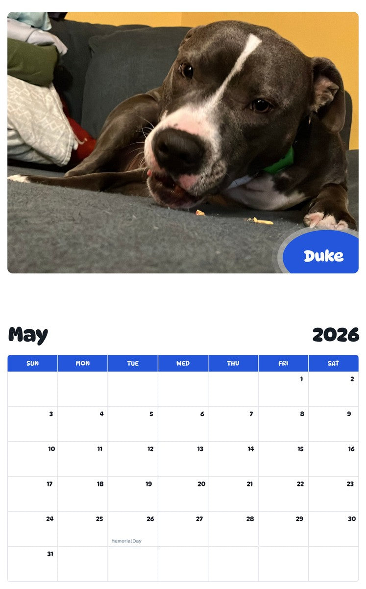 2026 - 2027 Duke - Pawidols Pet Calendar