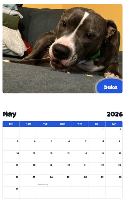 2026 - 2027 Duke - Pawidols Pet Calendar