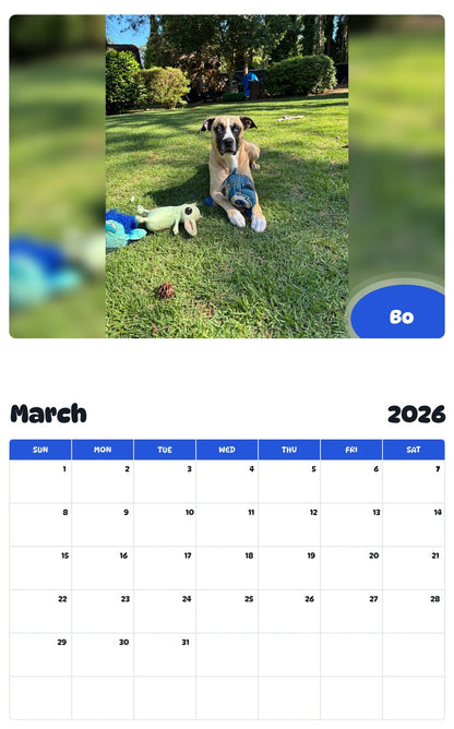 November 2025 - October 2026 Bo - Pawidols Pet Calendar