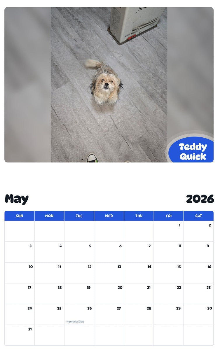 2026 - 2027 Teddy Quick - Pawidols Pet Calendar