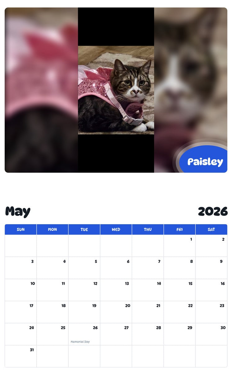 2026 - 2027 Paisley - Pawidols Pet Calendar
