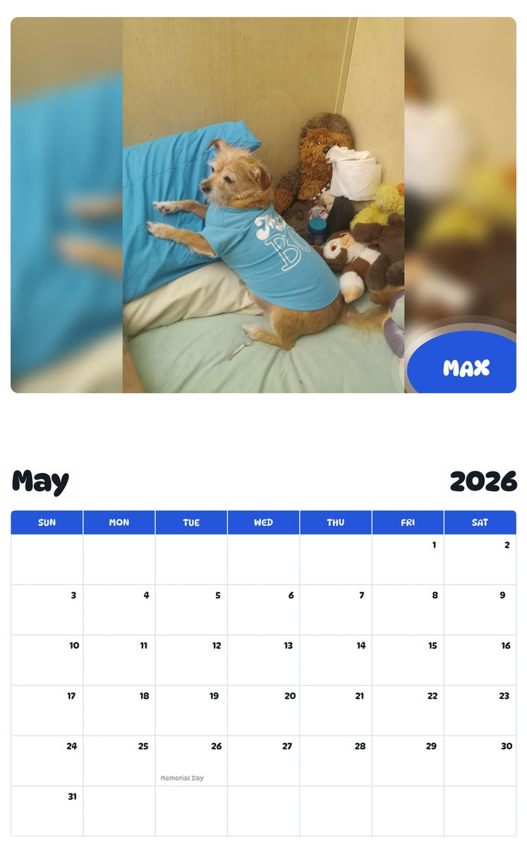 2026 - 2027 MAX - Pawidols Pet Calendar