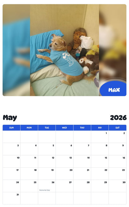 2026 - 2027 MAX - Pawidols Pet Calendar