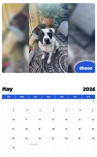 2026 - 2027 Chaoz - Pawidols Pet Calendar