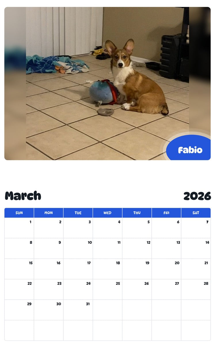 November 2025 - October 2026 Fabio - Pawidols Pet Calendar