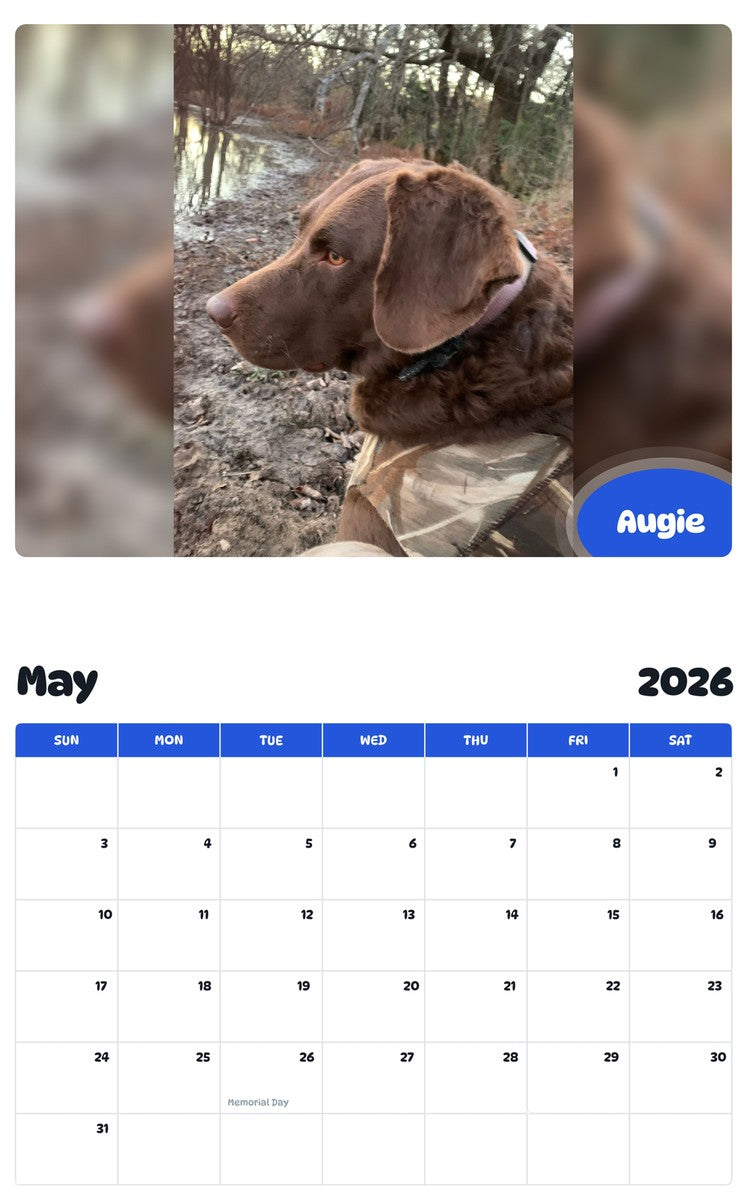 2026 - 2027 Augie - Pawidols Pet Calendar