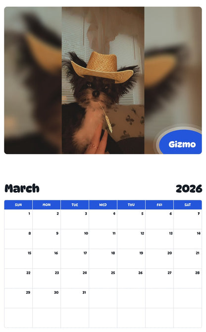 November 2025 - October 2026 Gizmo - Pawidols Pet Calendar
