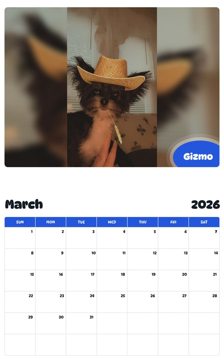 November 2025 - October 2026 Gizmo - Pawidols Pet Calendar