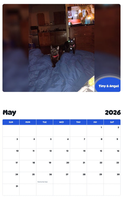 2026 - 2027 Tiny & Angel - Pawidols Pet Calendar