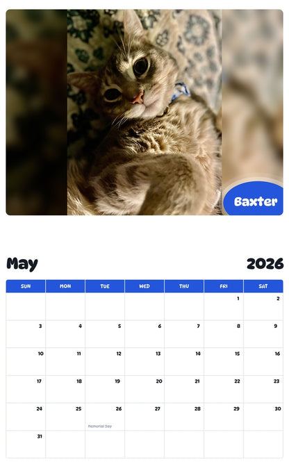 2026 - 2027 Baxter - Pawidols Pet Calendar