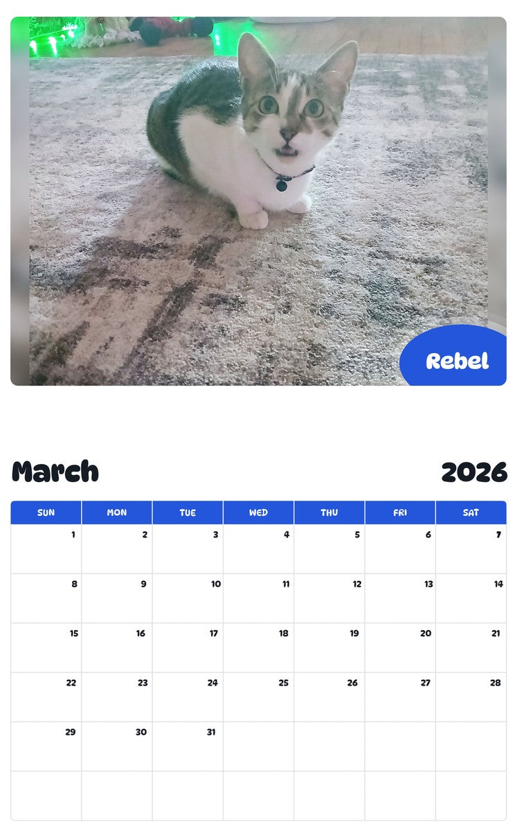 November 2025 - October 2026 Rebel - Pawidols Pet Calendar