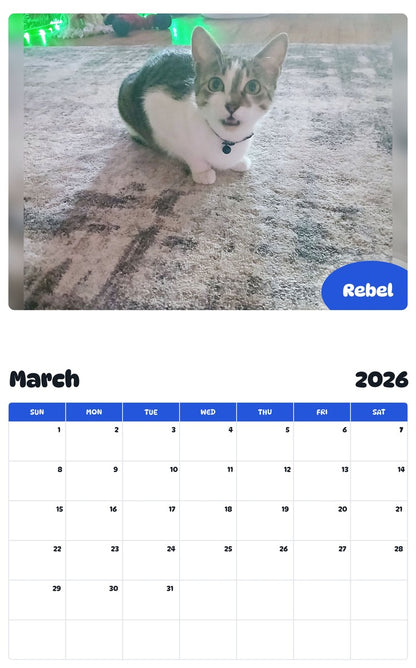 November 2025 - October 2026 Rebel - Pawidols Pet Calendar