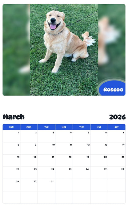November 2025 - October 2026 Roscoe - Pawidols Pet Calendar