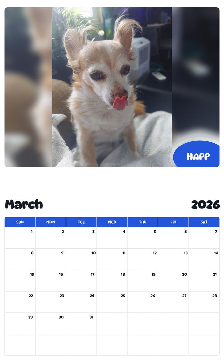 November 2025 - October 2026 HAPP - Pawidols Pet Calendar