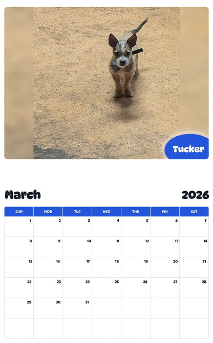 November 2025 - October 2026 Tucker - Pawidols Pet Calendar