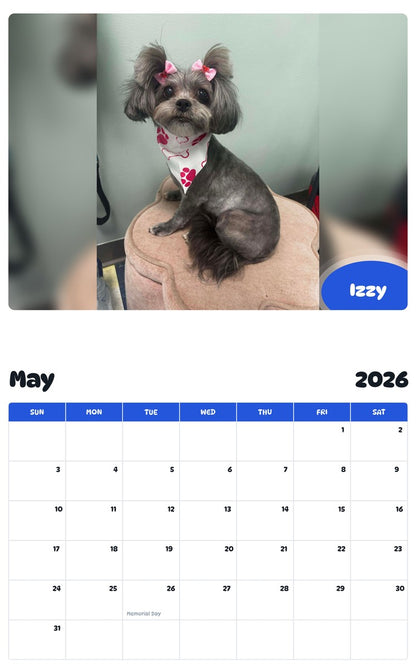 2026 - 2027 Izzy - Pawidols Pet Calendar