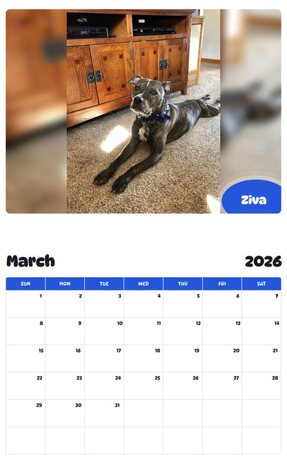 November 2025 - October 2026 Ziva - Pawidols Pet Calendar