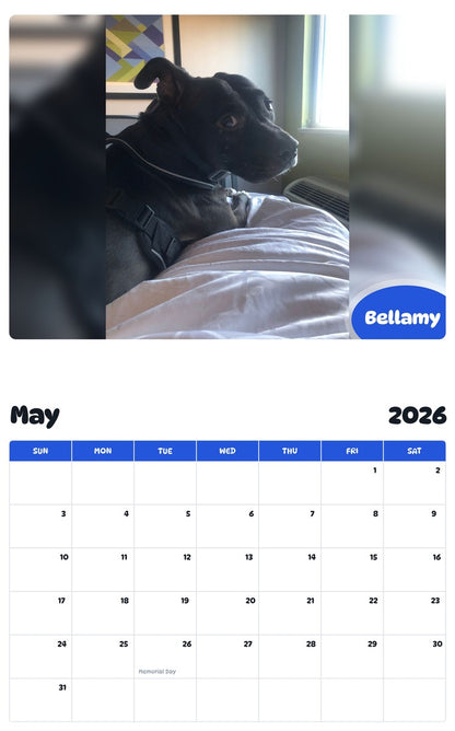 2026 - 2027 Bellamy - Pawidols Pet Calendar