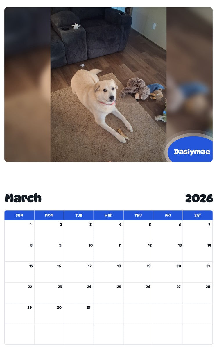 November 2025 - October 2026 Dasiymae - Pawidols Pet Calendar