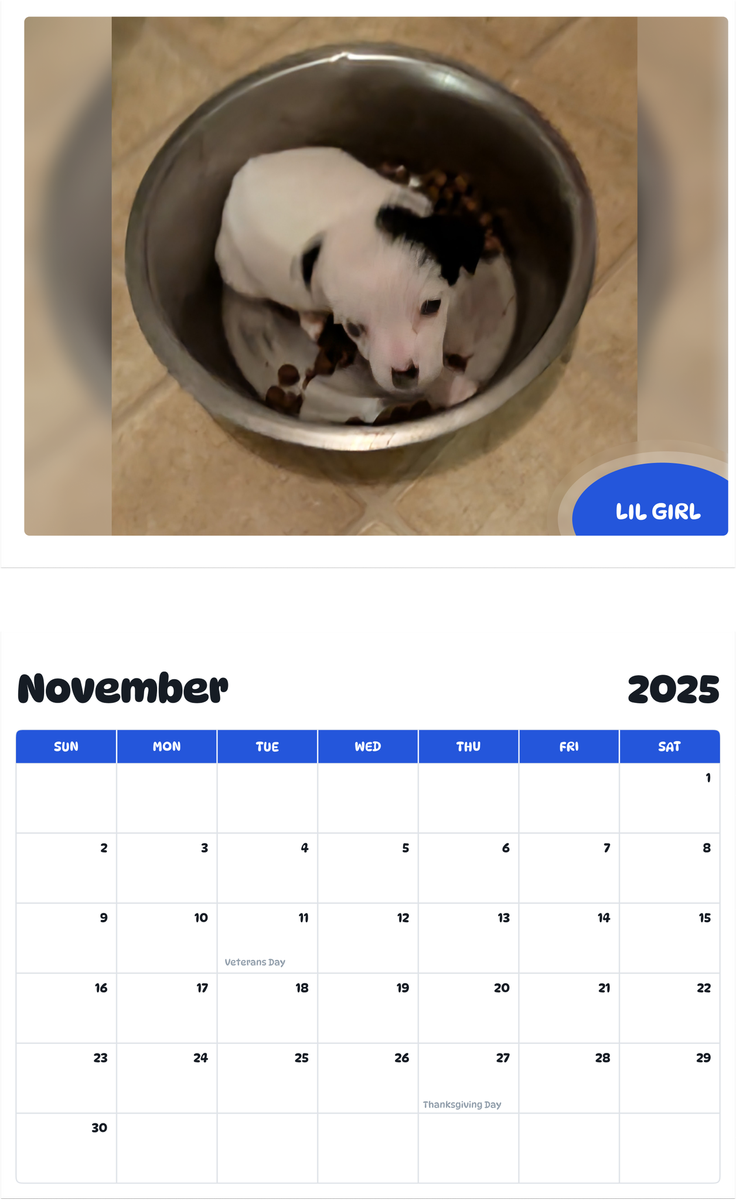 July 2025 - June 2026 Lil girl - Pawidols Pet Calendar