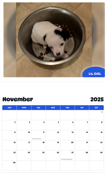 July 2025 - June 2026 Lil girl - Pawidols Pet Calendar
