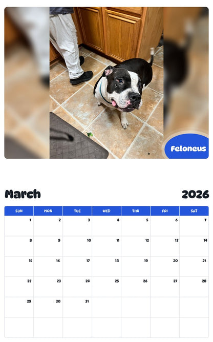 November 2025 - October 2026 Feloneus - Pawidols Pet Calendar
