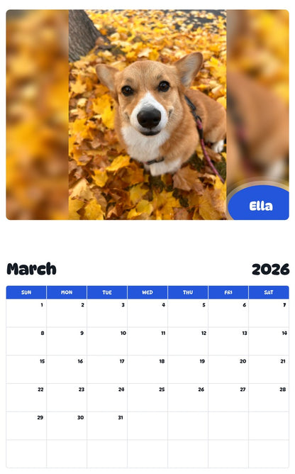 November 2025 - October 2026 Ella - Pawidols Pet Calendar