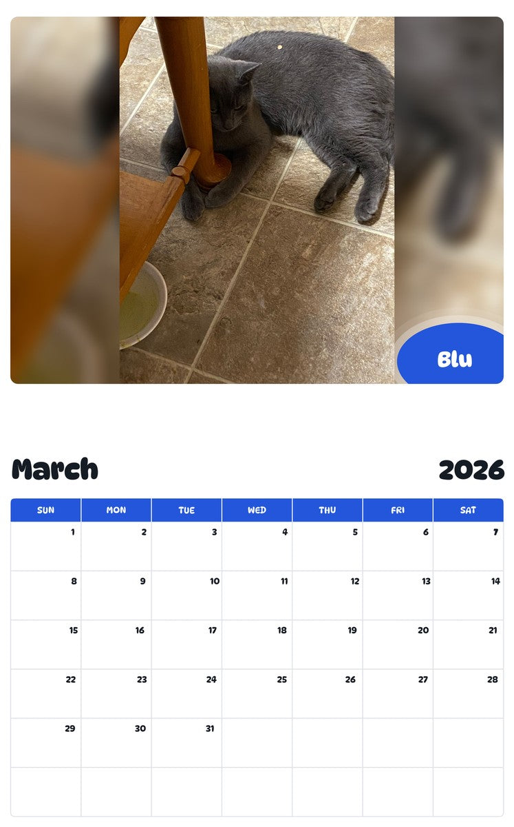 November 2025 - October 2026 Blu - Pawidols Pet Calendar