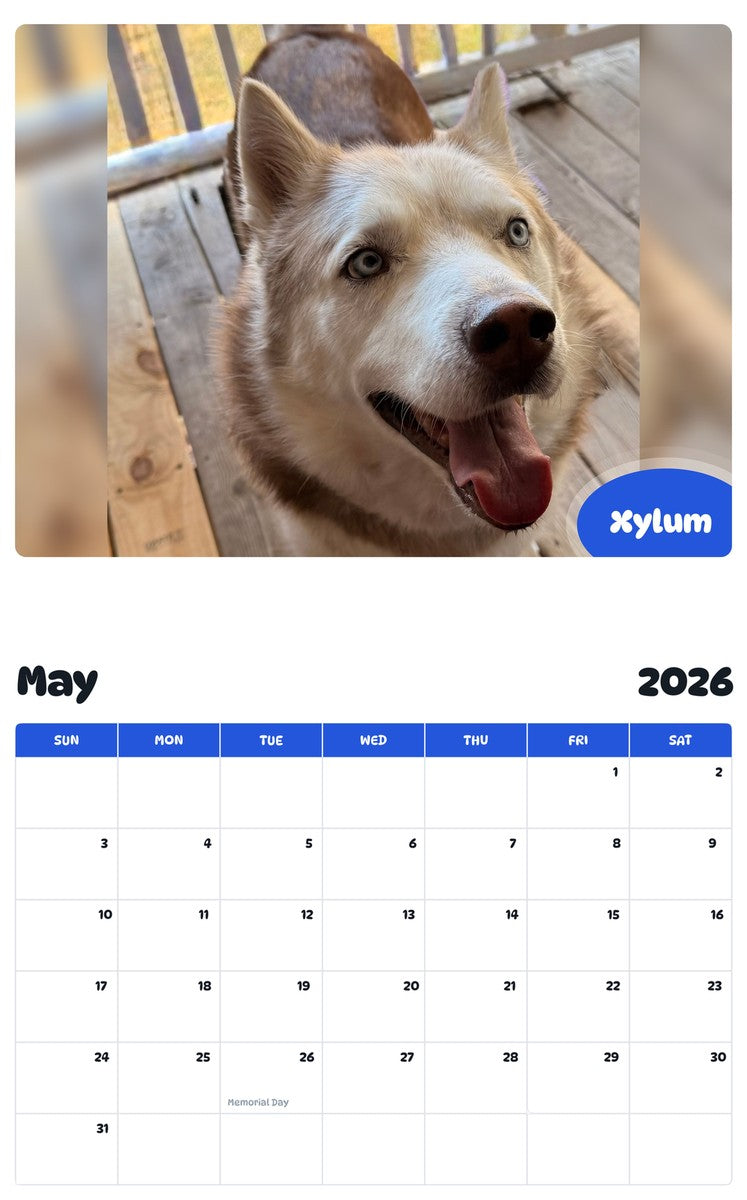 2026 - 2027 Xylum - Pawidols Pet Calendar