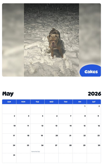 2026 - 2027 Cakes - Pawidols Pet Calendar