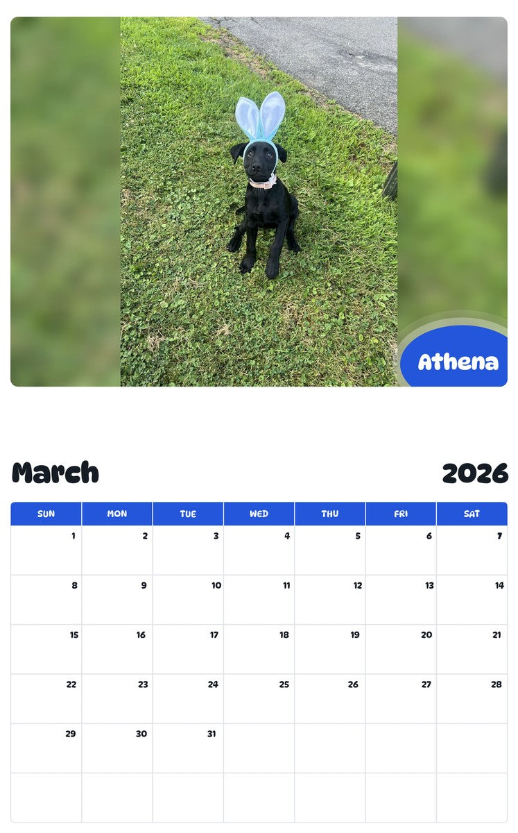 November 2025 - October 2026 Athena - Pawidols Pet Calendar