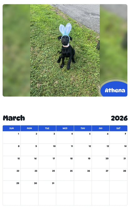 November 2025 - October 2026 Athena - Pawidols Pet Calendar