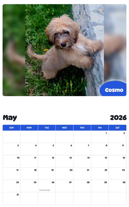 2026 - 2027 Cosmo - Pawidols Pet Calendar