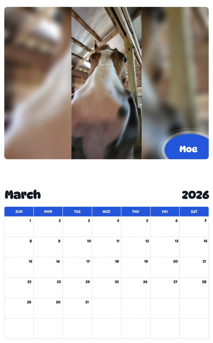 November 2025 - October 2026 Moe - Pawidols Pet Calendar